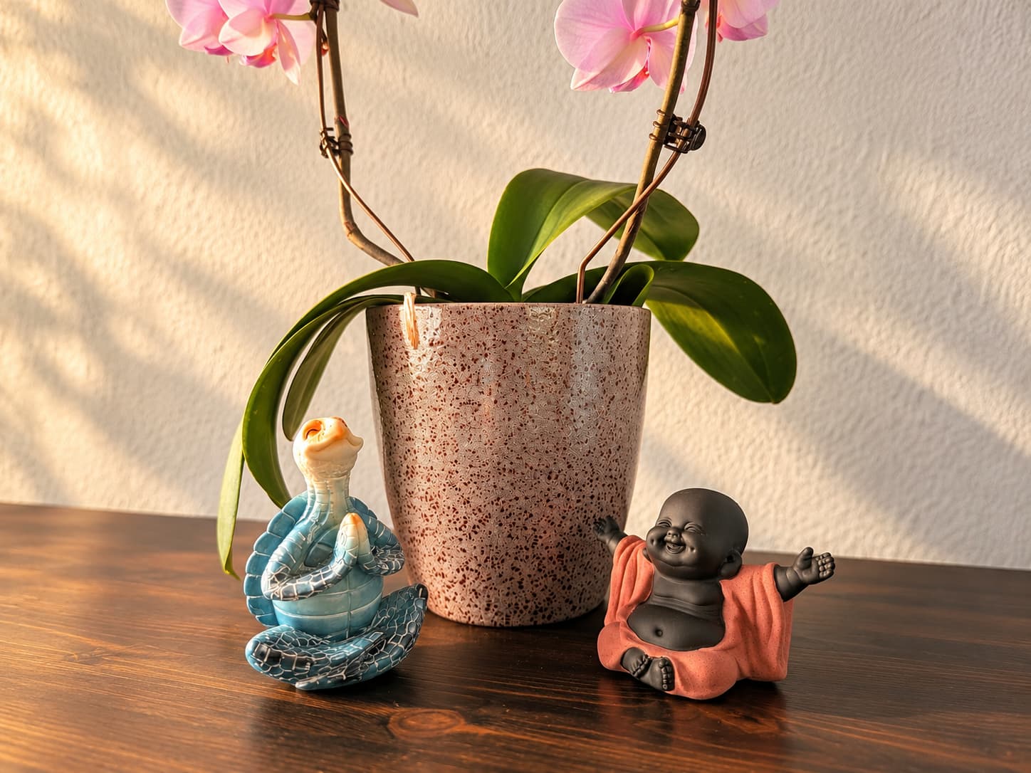 Praxis-Detail: Rosa Orchidee, meditierende Schildkröten-Figur und lachende Buddha-Figur auf einem Holztisch im warmen Licht